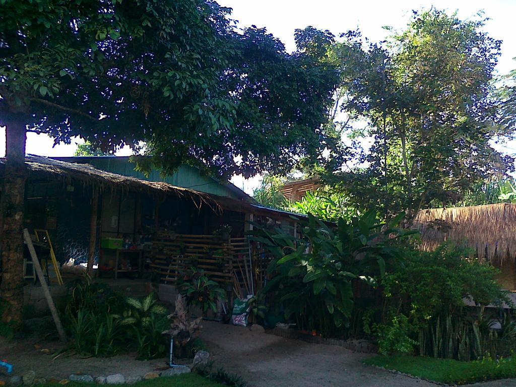 Pai Bamboo Hut Hotell Eksteriør bilde